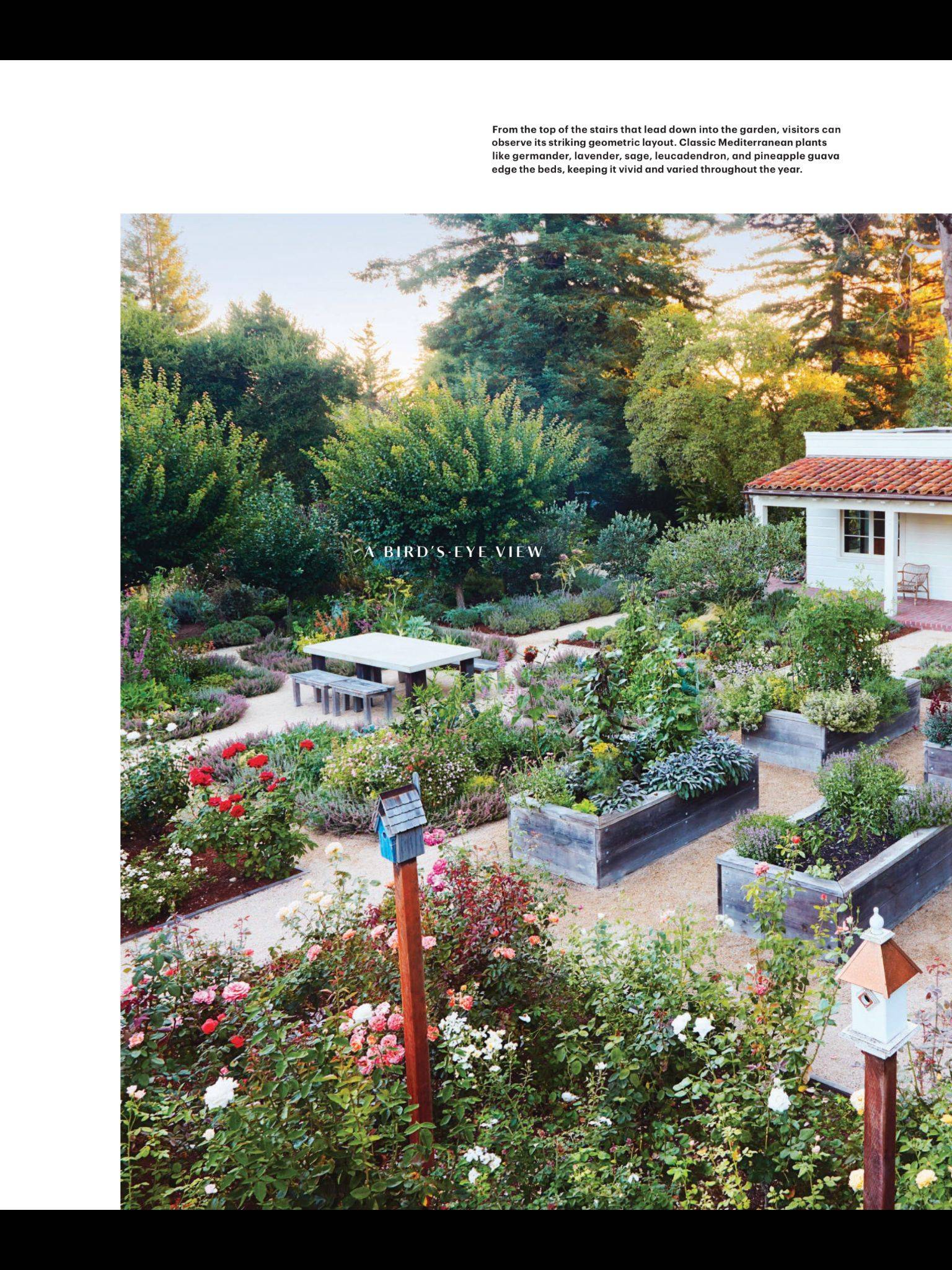 Top Martha Stewart Gardening Ideas Hardscape Backyard