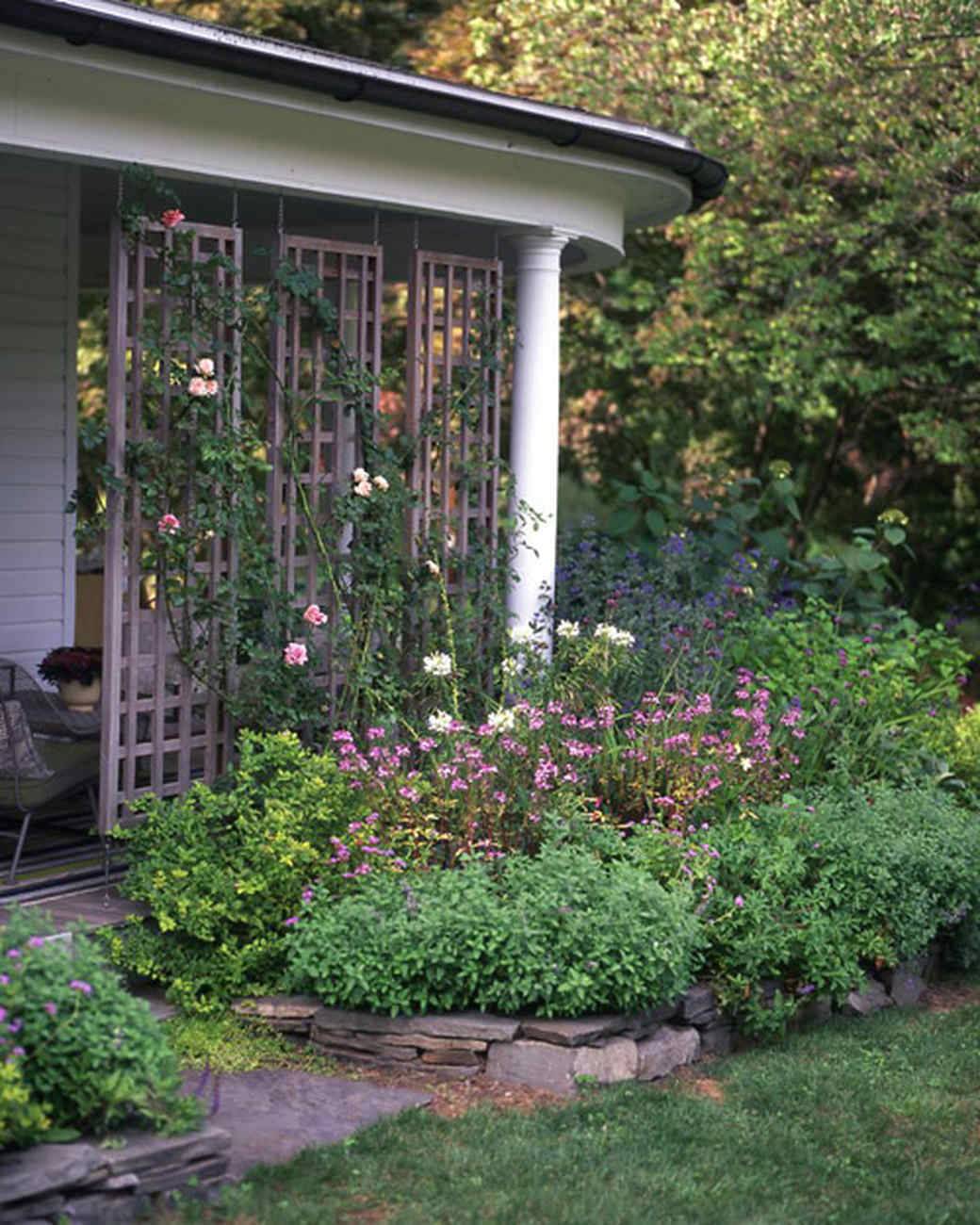 Top Martha Stewart Gardening Ideas