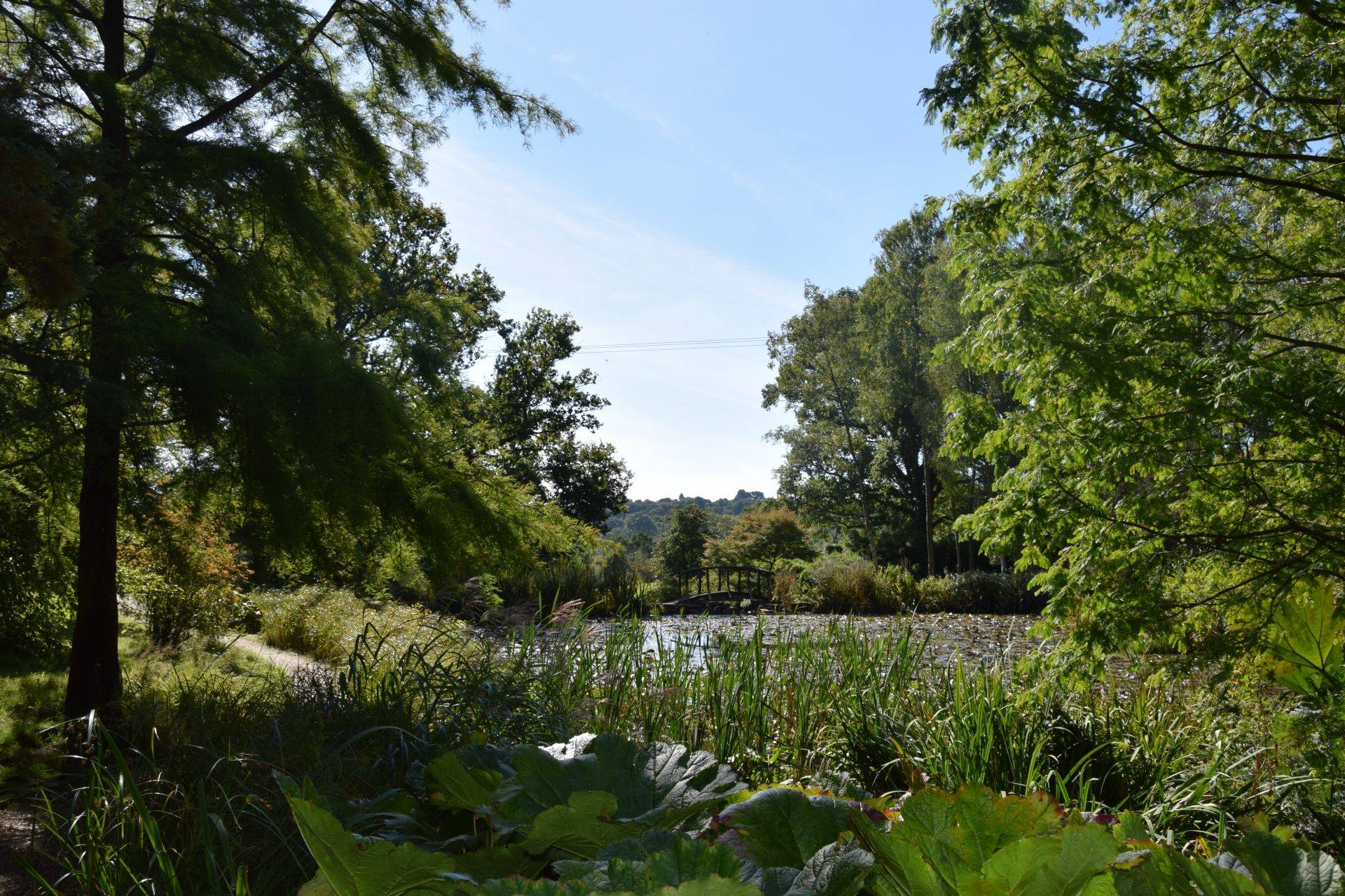 Furzey Gardens Garden Ftempo