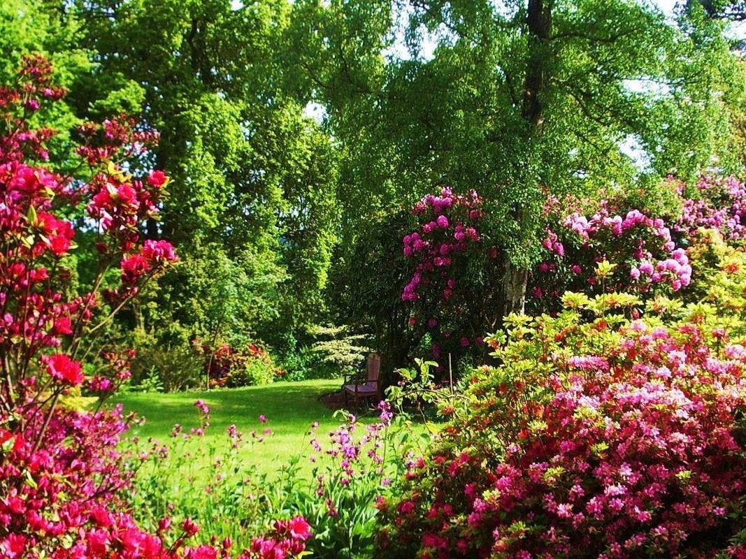 Furzey Gardens New Forest Travblogcom Travel Tips