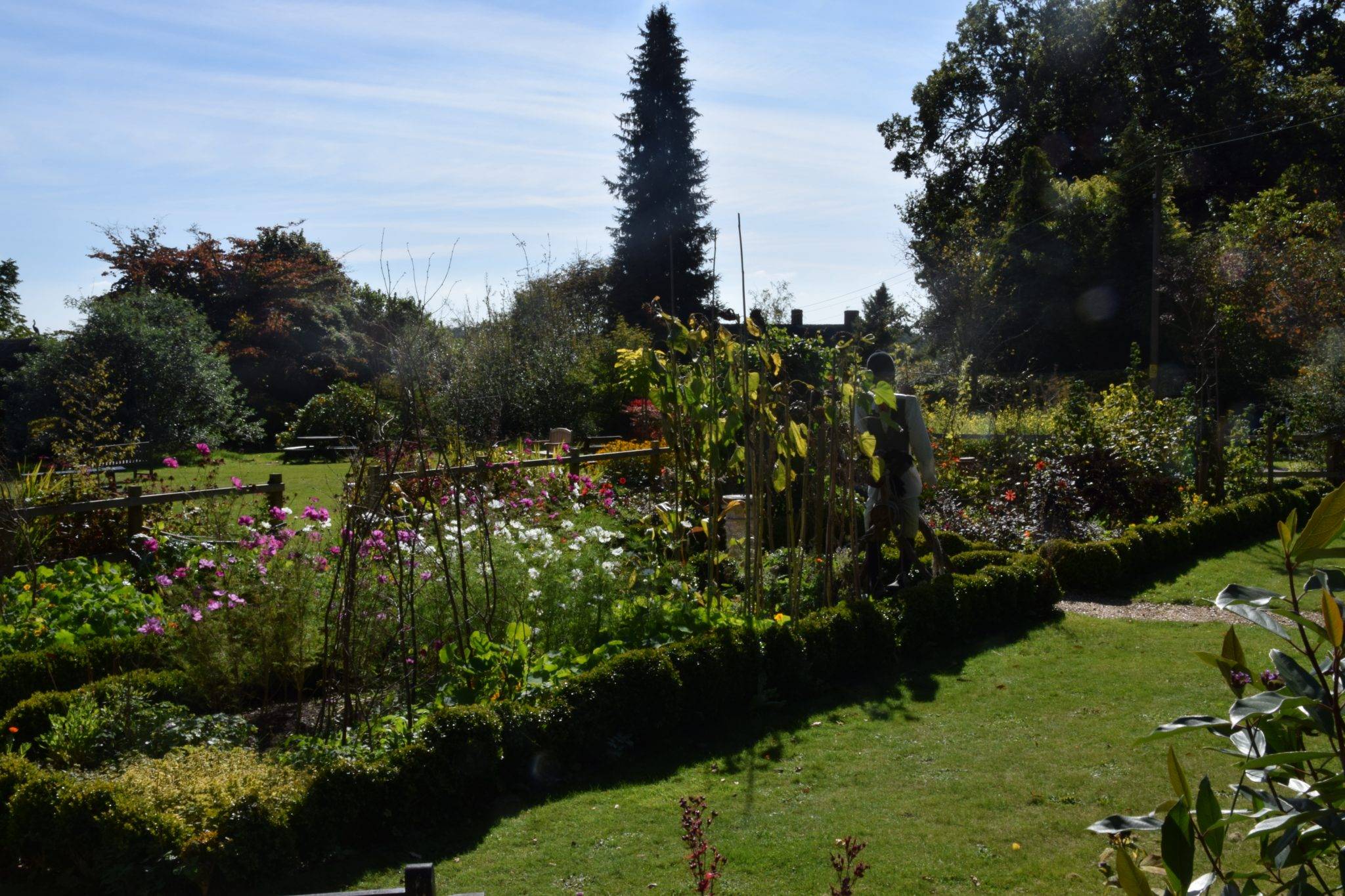 Furzey Gardens New Forest Travblogcom Travel Tips