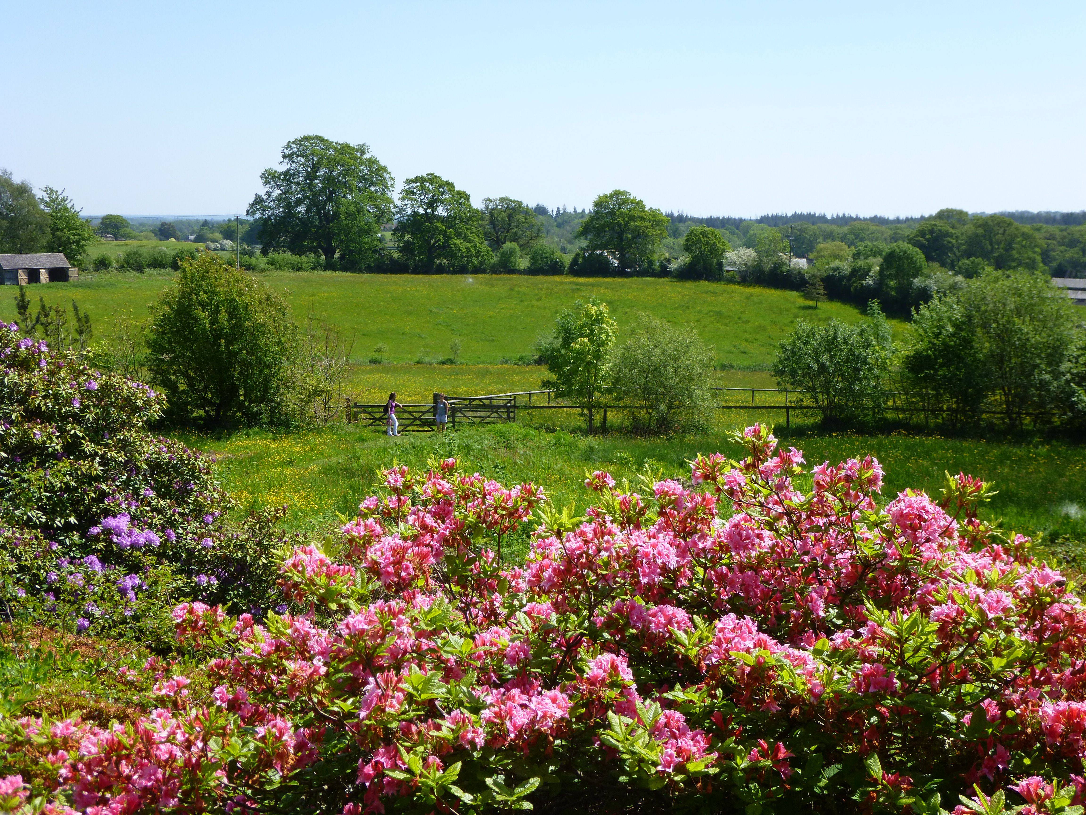 Furzey Gardens New Forest Travblogcom Travel Tips