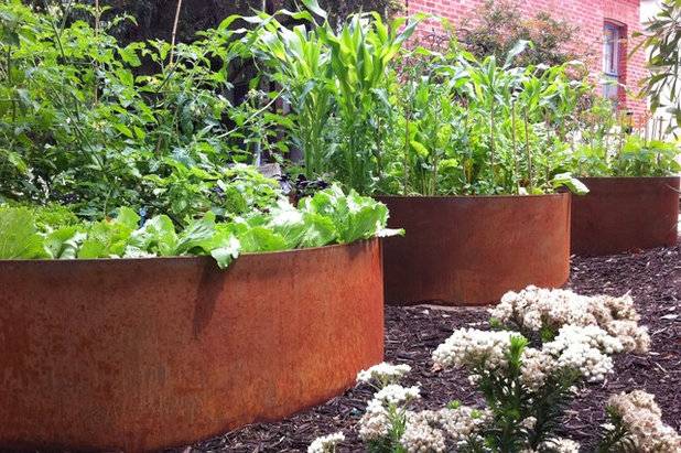 Costa Farms Trial Garden Ideas