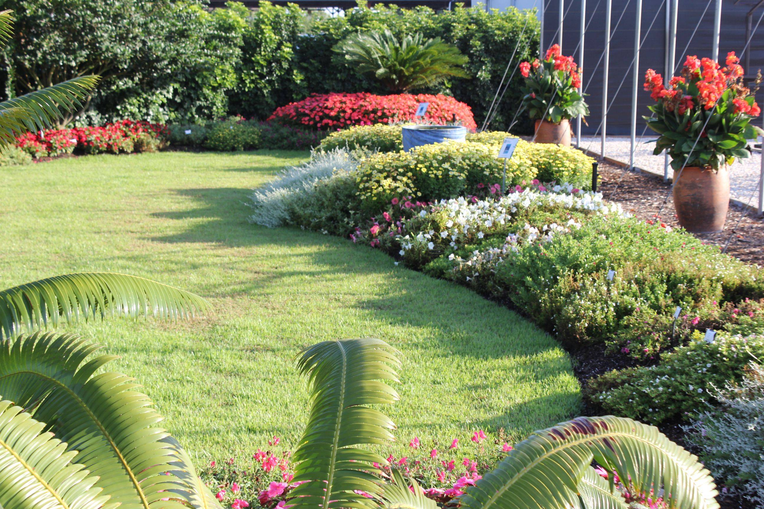 Four Star Greenhouse Trial Garden Rotary Botanical Gardens