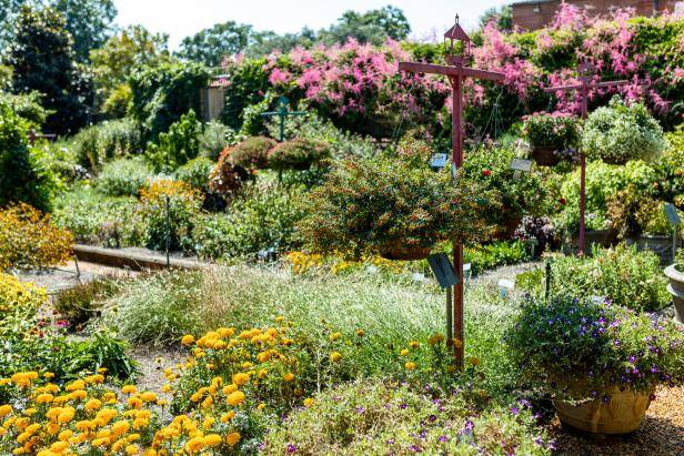 Trial Garden Evaluations