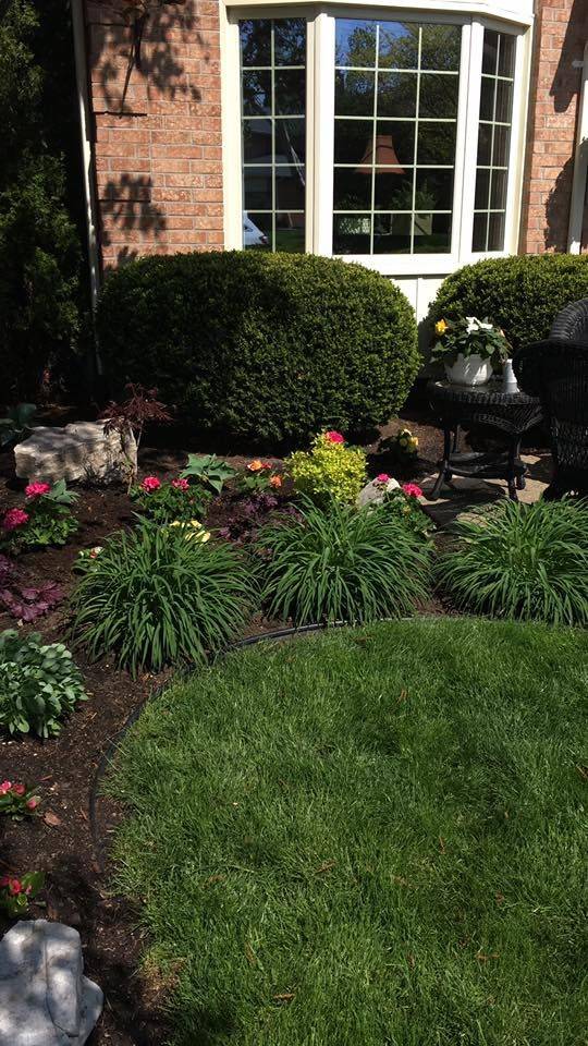 Csus Annual Flower Trial Garden Fox Denver