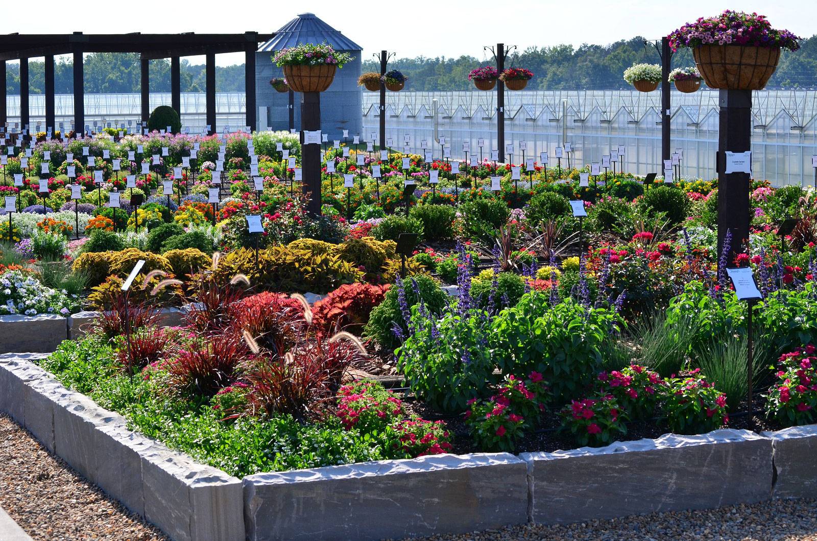 Youngs plant farm auburn