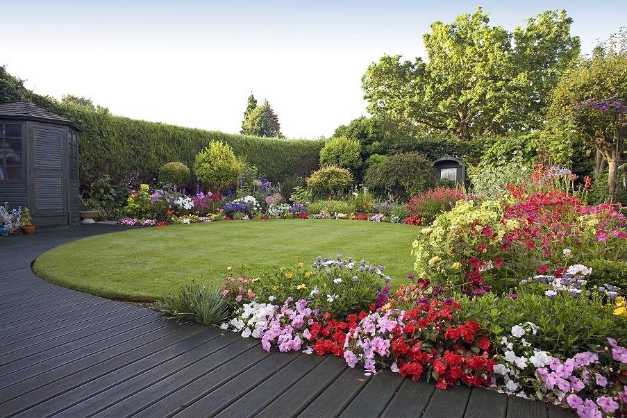 Whats Growing In Our Trial Gardens Vegetable Garden Design Garden