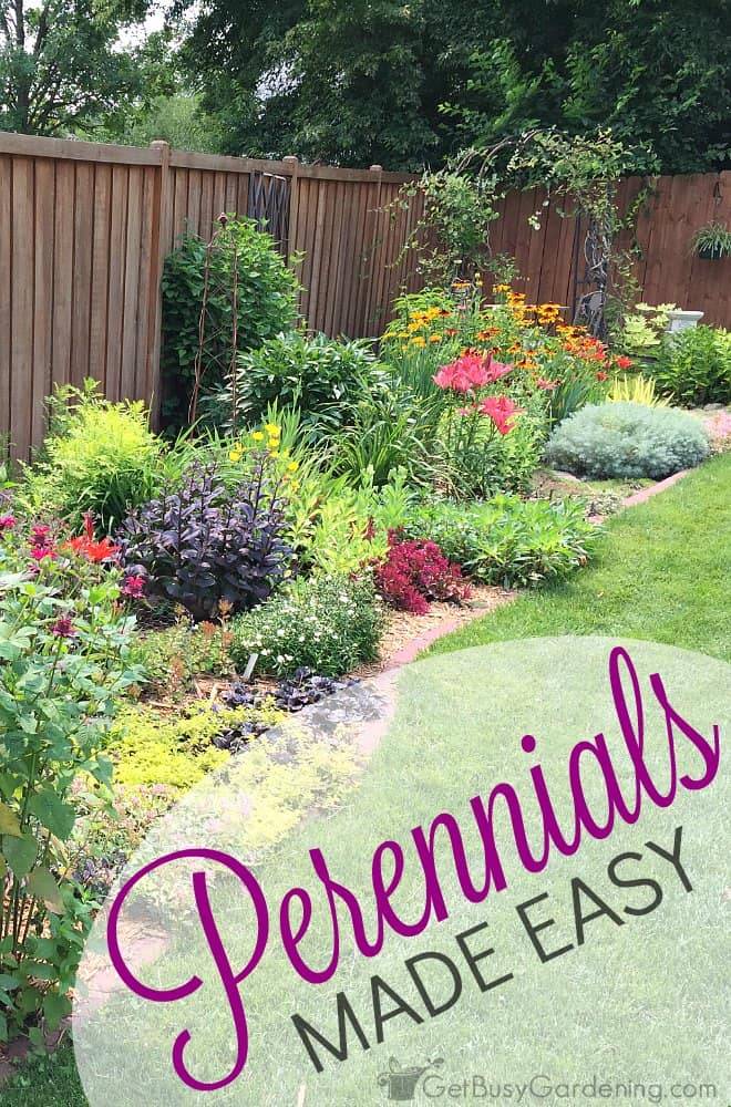 Best Small And Simple Flower Bed Ideas