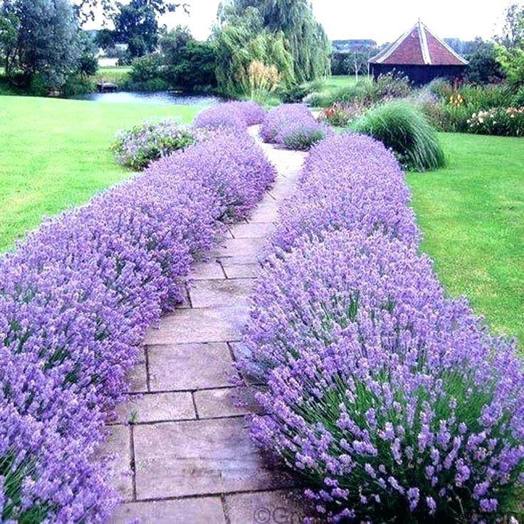 Easy Diy Garden Projects You Can Start Now