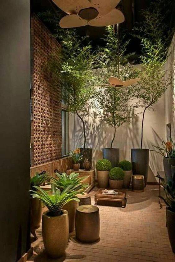 Modern Indoor Garden Ideas