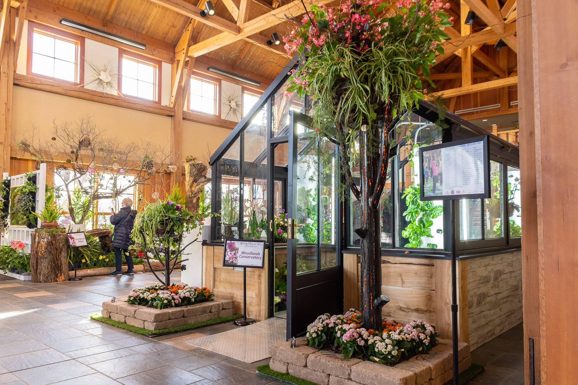 An Indoor Garden