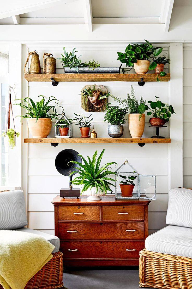 My Bedroom Garden Indoorgarden