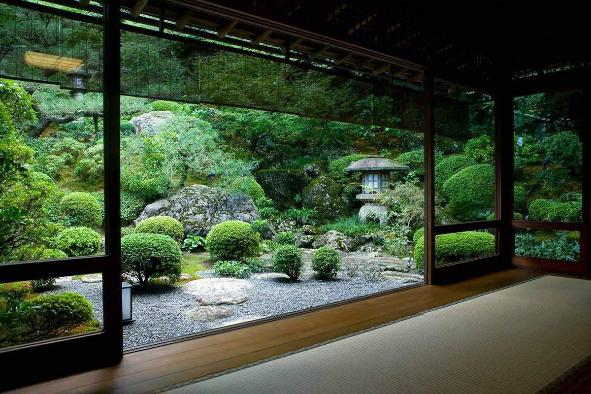 Amazing Indoor Garden Designs
