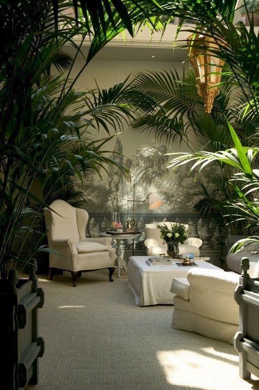 Patio Ideas Tropical Outdoor Furniture