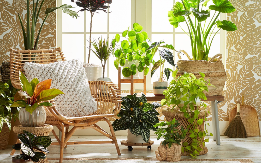 Smallurbantropicalgardenwithsunroomideas Homemydesign