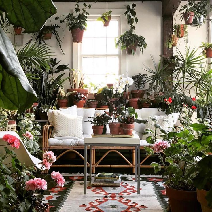 Tropical Garden