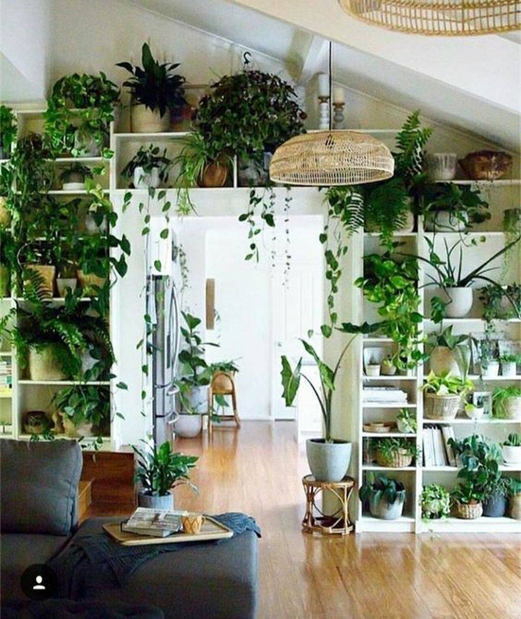 Beautiful And Small Indoor Gardens Decor Inspirator