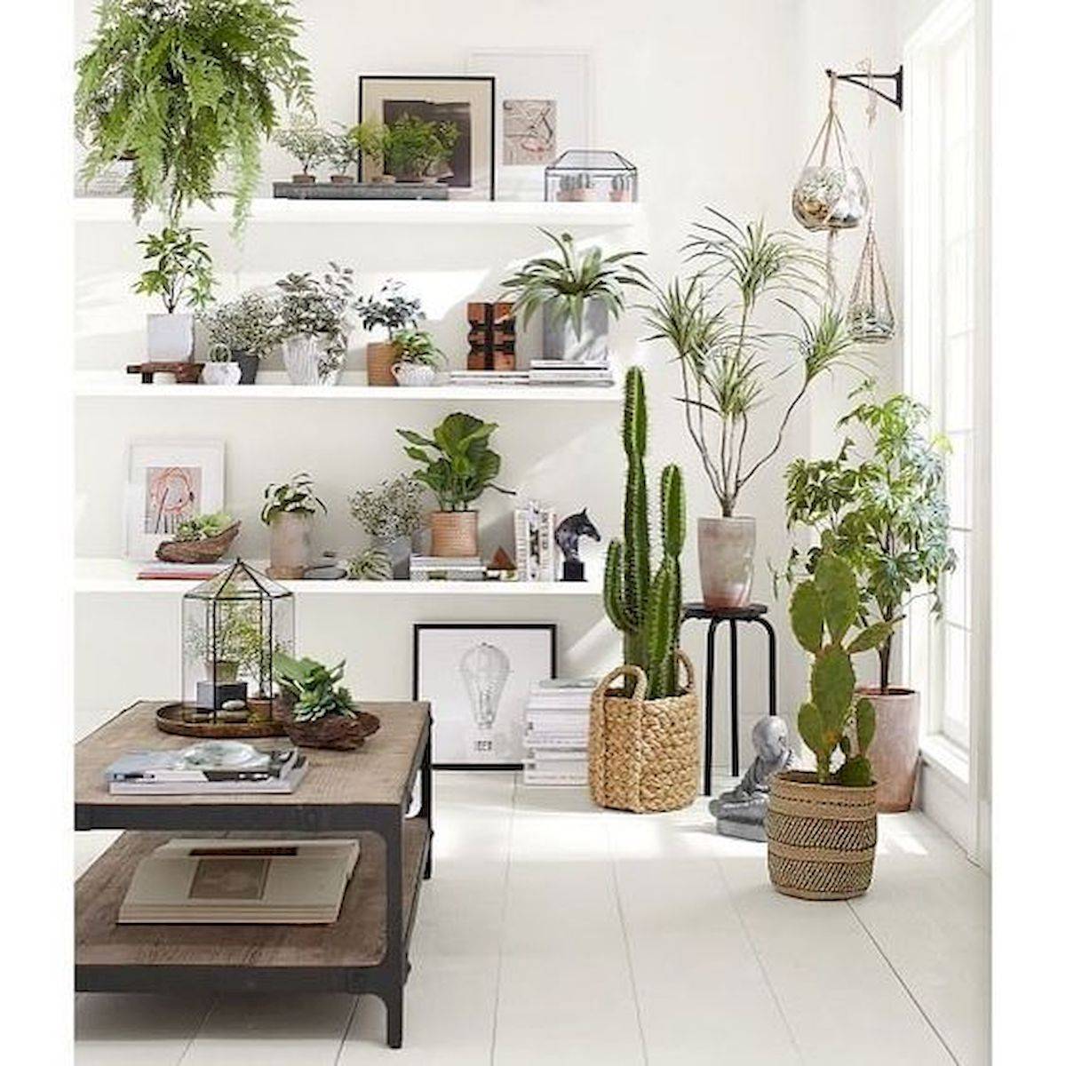 Indoor Garden Ideas