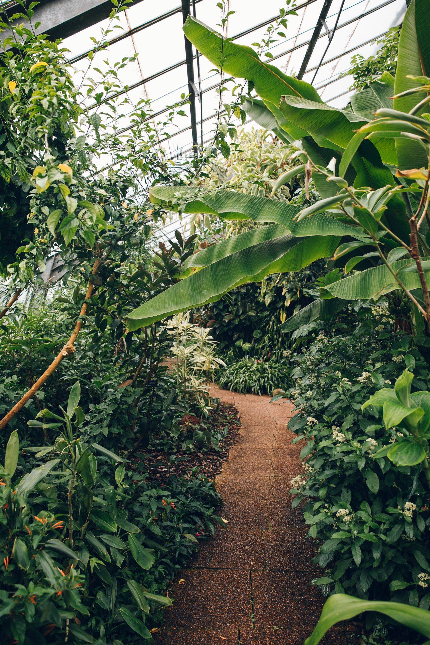 Lush Secret Gardens