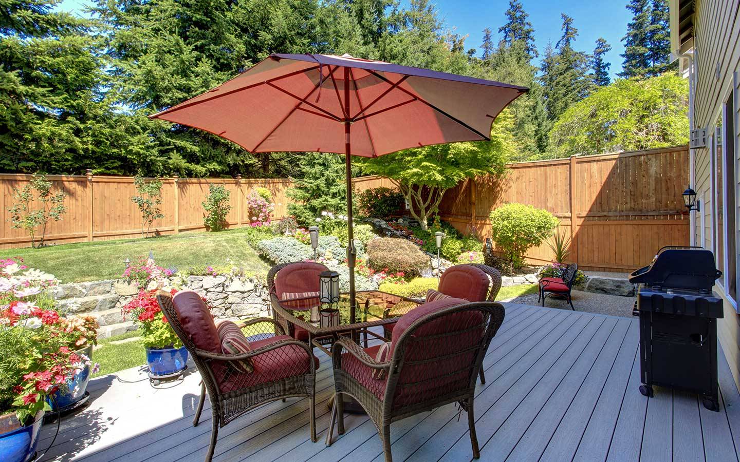 Beautiful Shady Plant Ideas