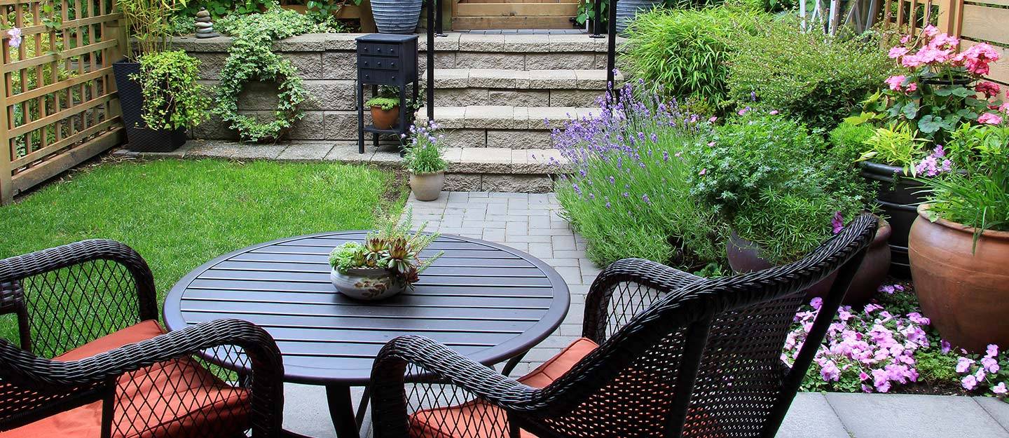 Beautiful Shady Plant Ideas