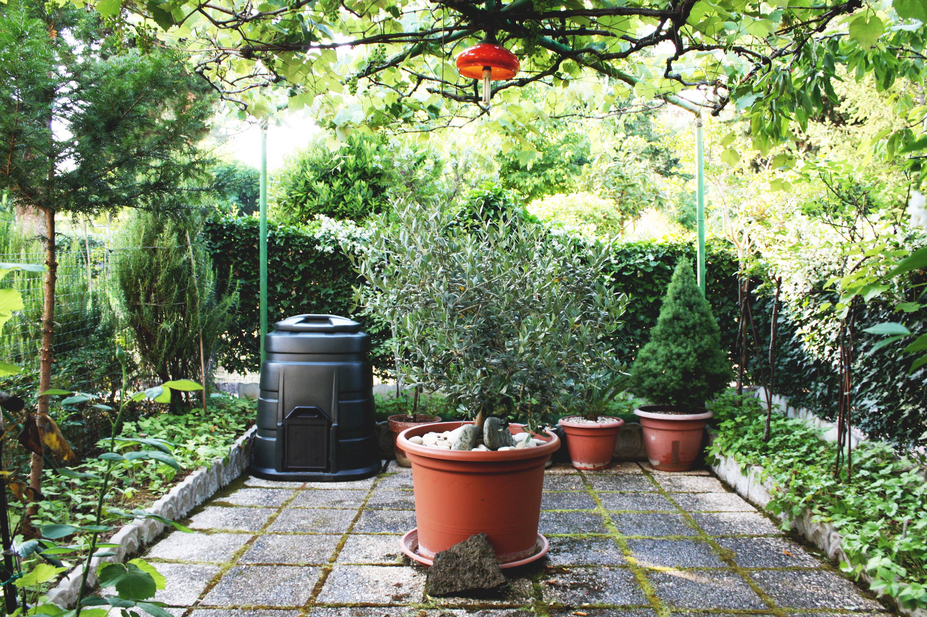The Perfect Garden Retreat Mybayut