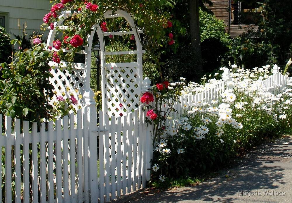 Your Yard Town Country Living