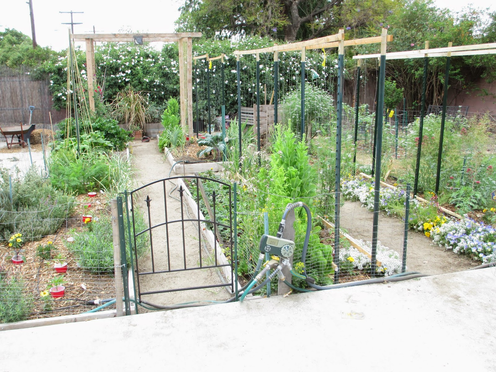 Gorgeous Garden Gates