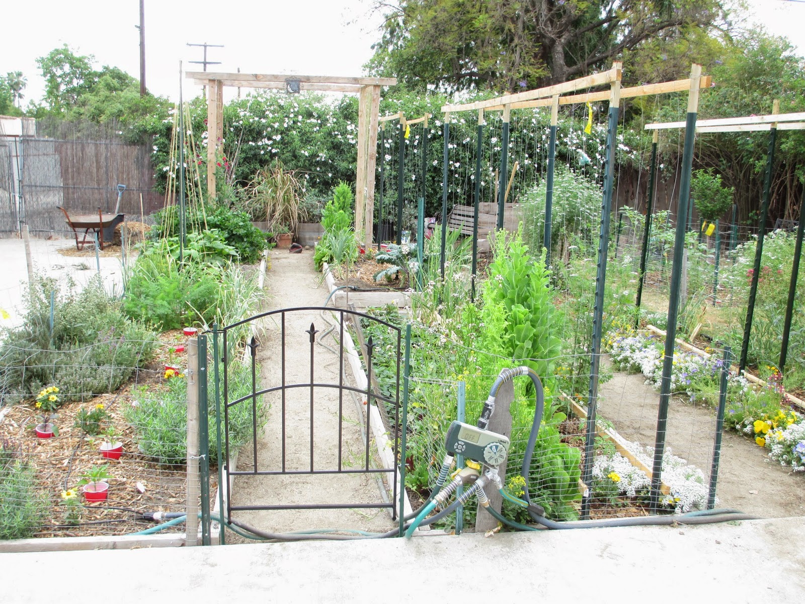 Diy Pallet Garden Fence Gate Easy Pallet Ideas