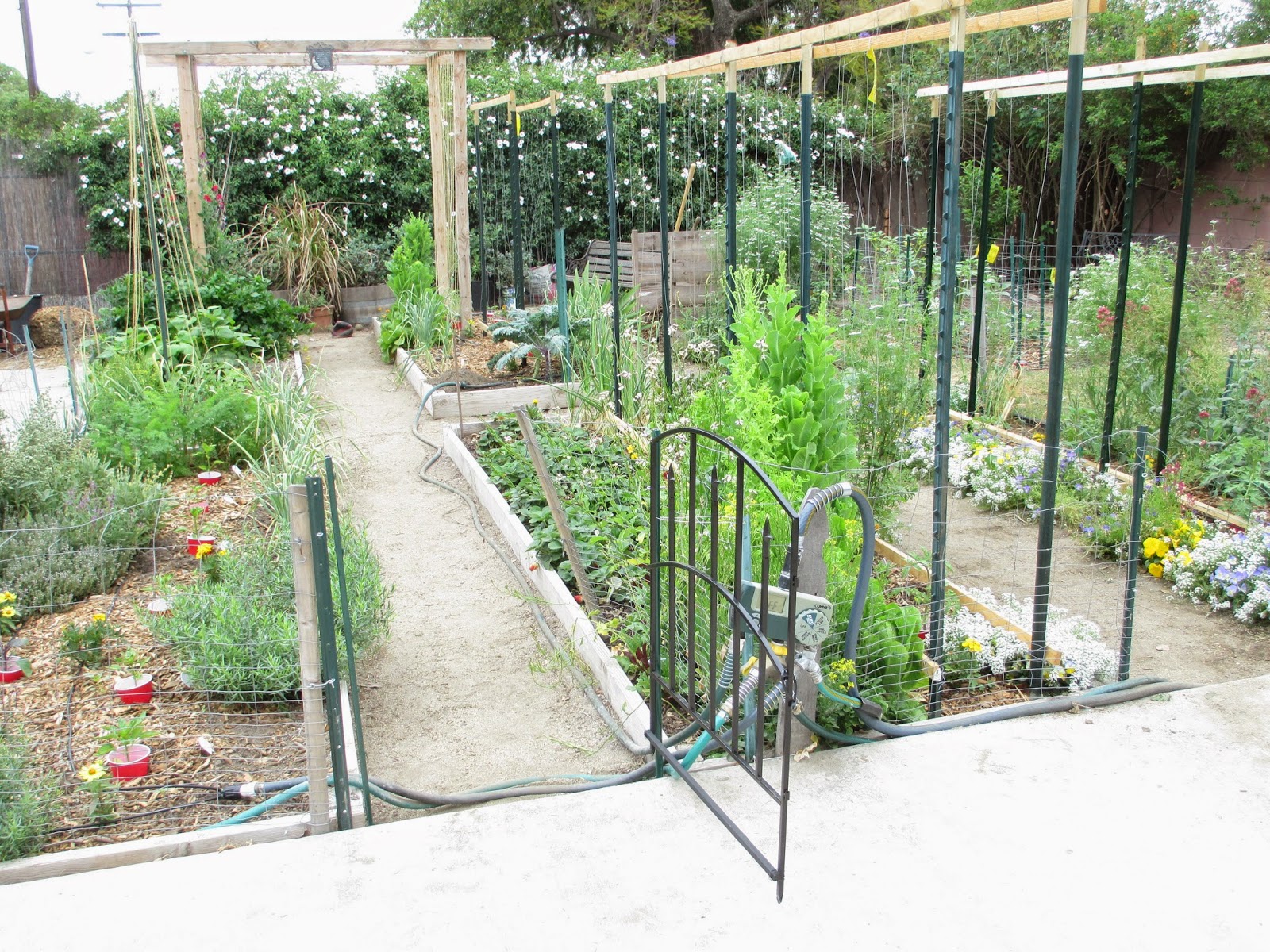 The Garden Design