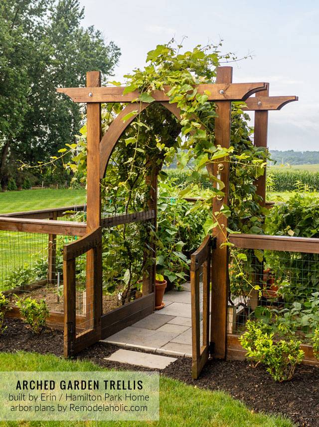 Arching Garden Arbor Woodworking Plan