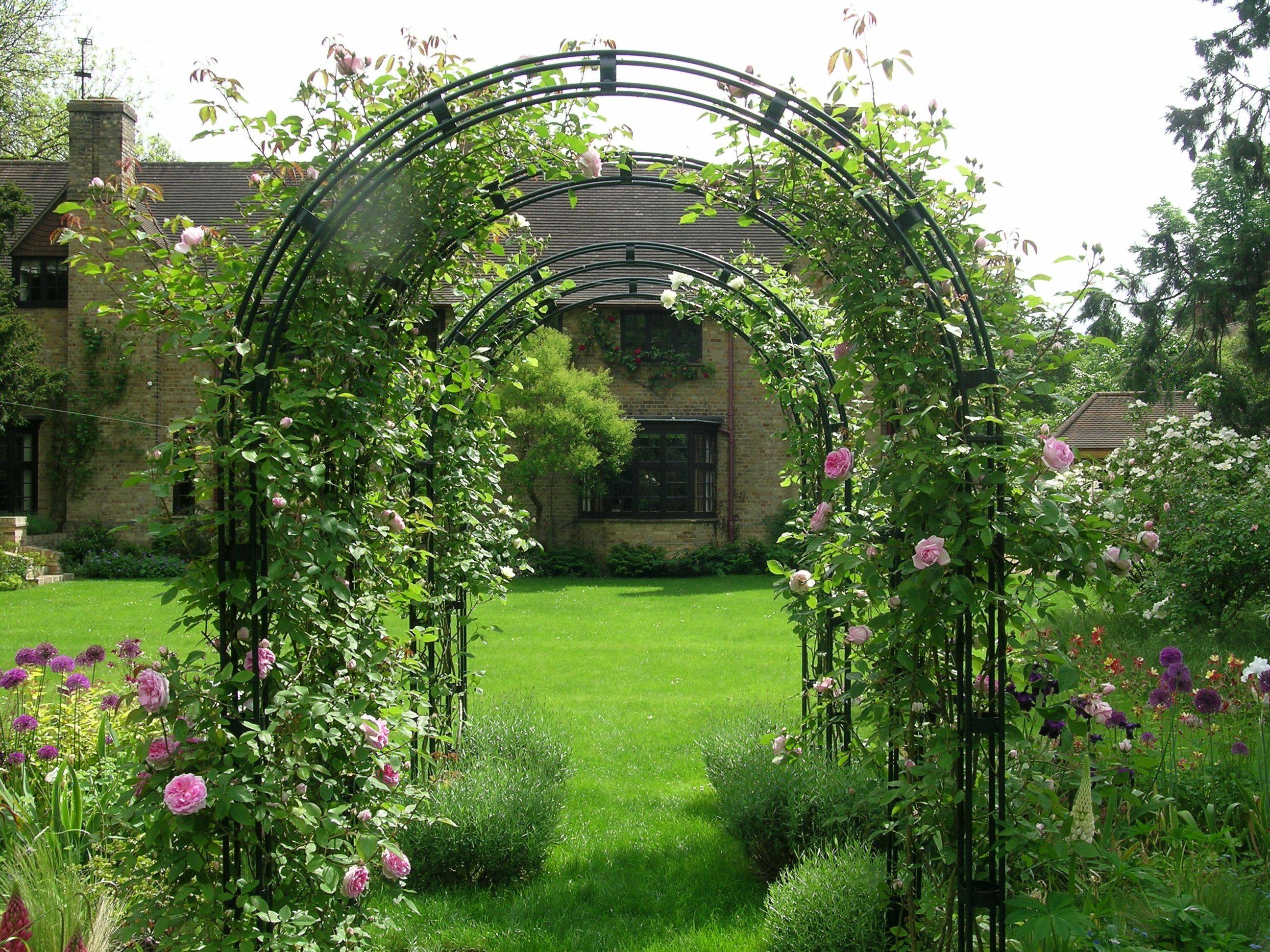 Metal Garden Arch Trellis Ideas