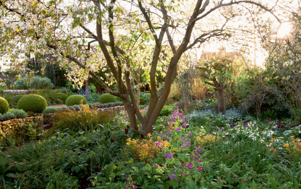 Country Cottage Garden
