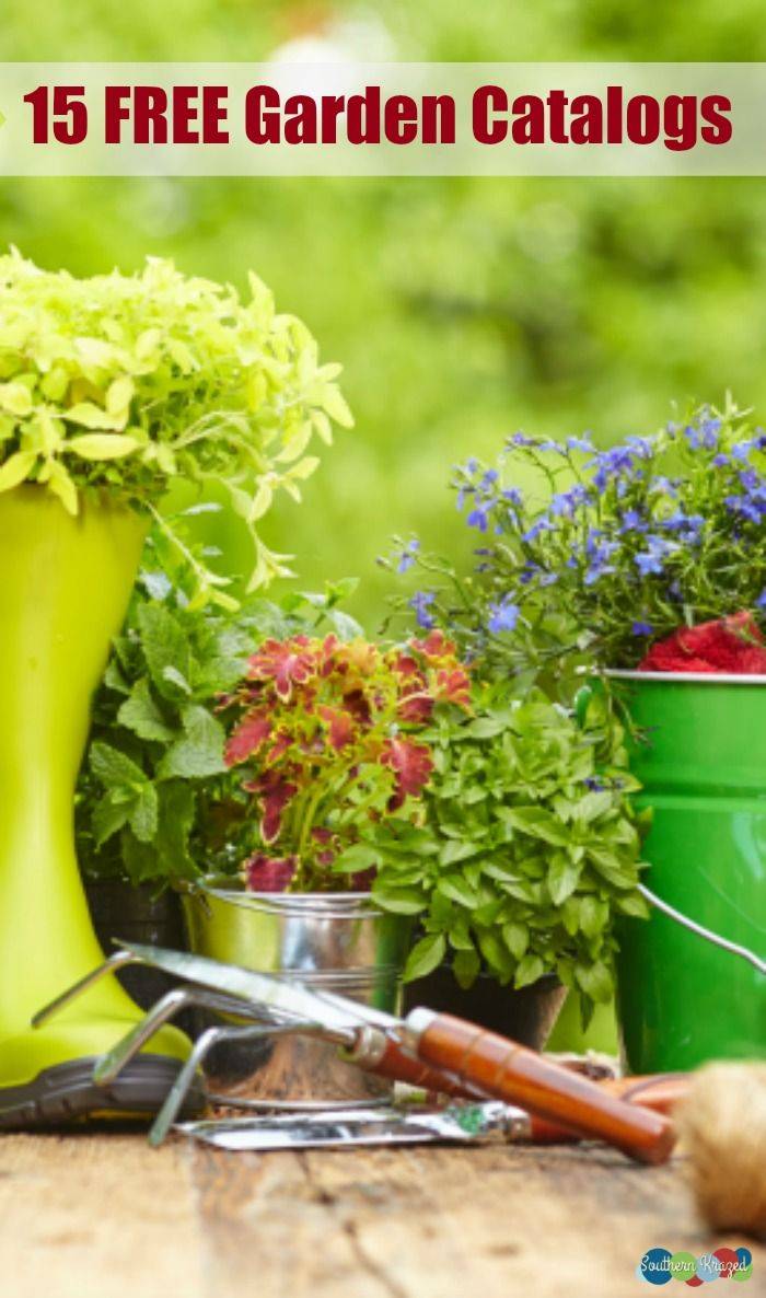 Country Gardens Magazine Country Gardening