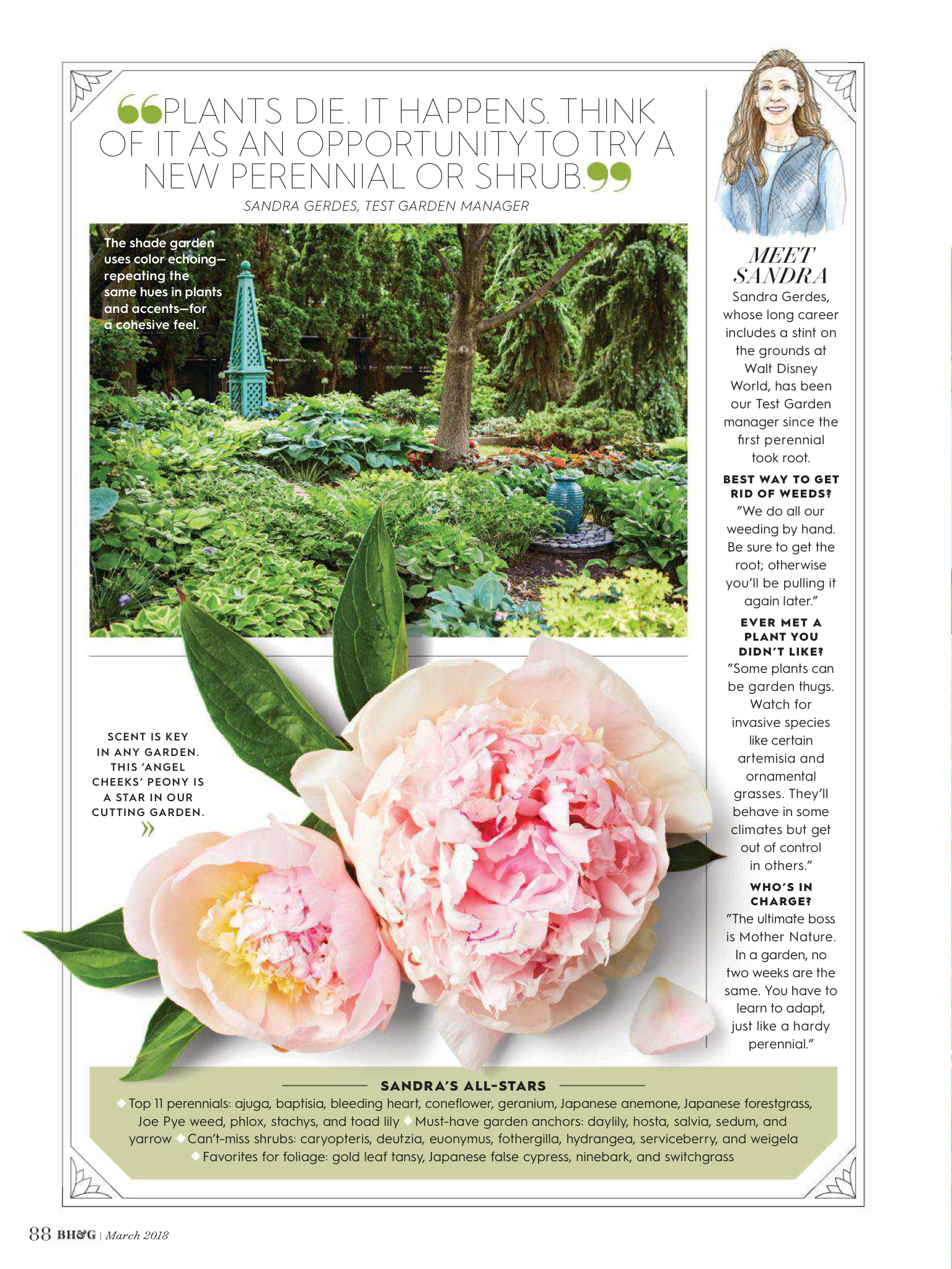 Landscape Patio Flower Bed Garden Border Ideas Magazine Rock