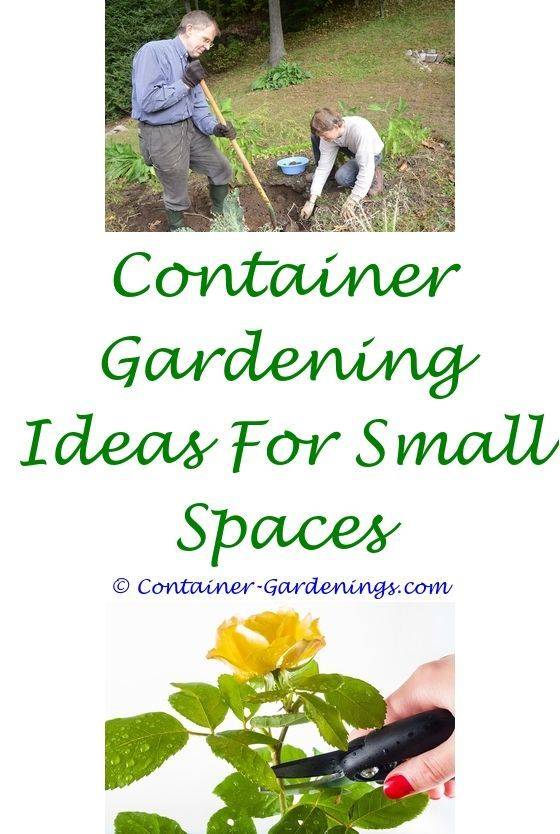 Outdoor Ideas And Solutions Magazine