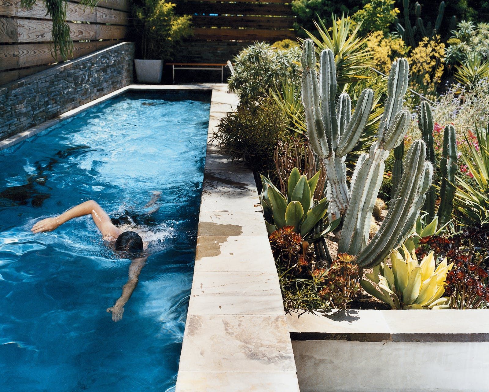 Pool Southern Living Pool Landscaping