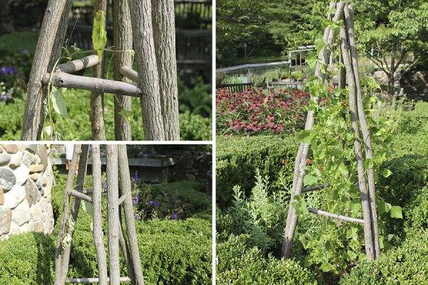 Garden Trellis Designs