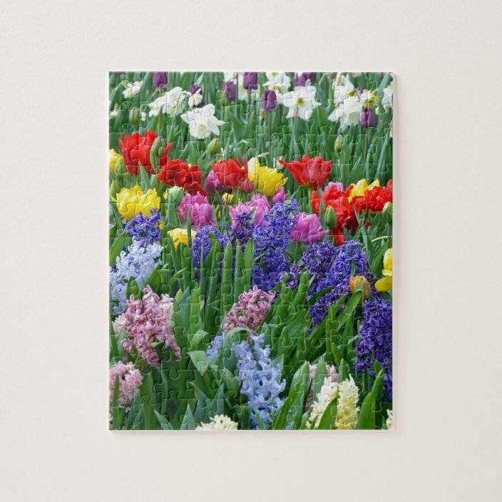 The Garden Puzzle