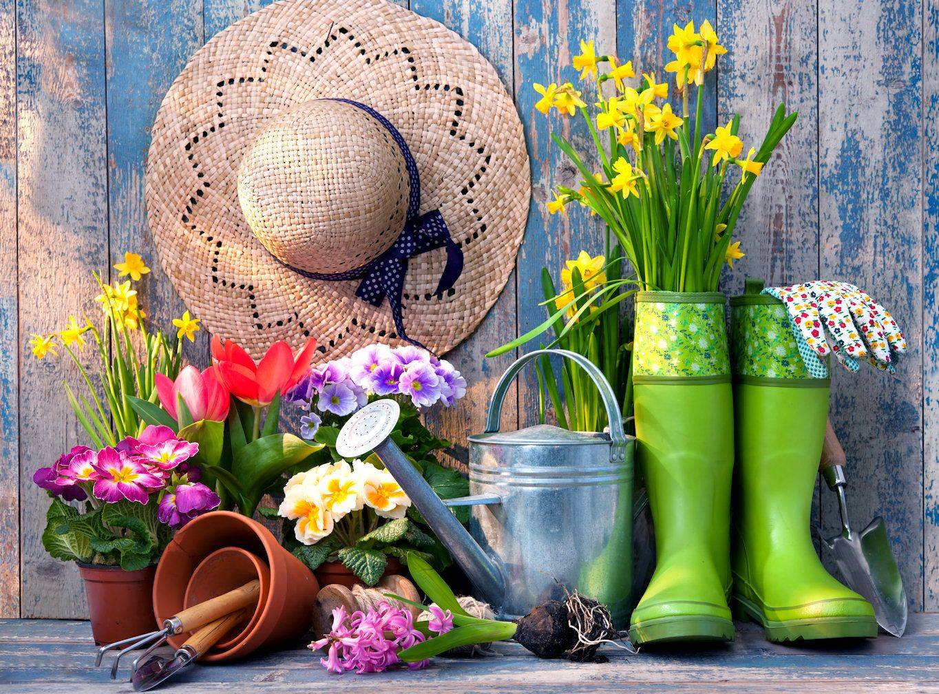 Garden Flowers Jigsaw Puzzle