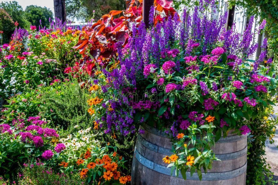 No Autumn Pc Jigsaw Puzzle