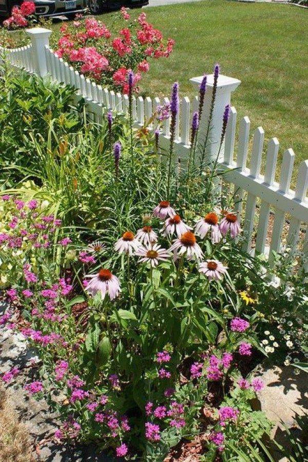 Beautiful Cottage Garden Cottage Garden
