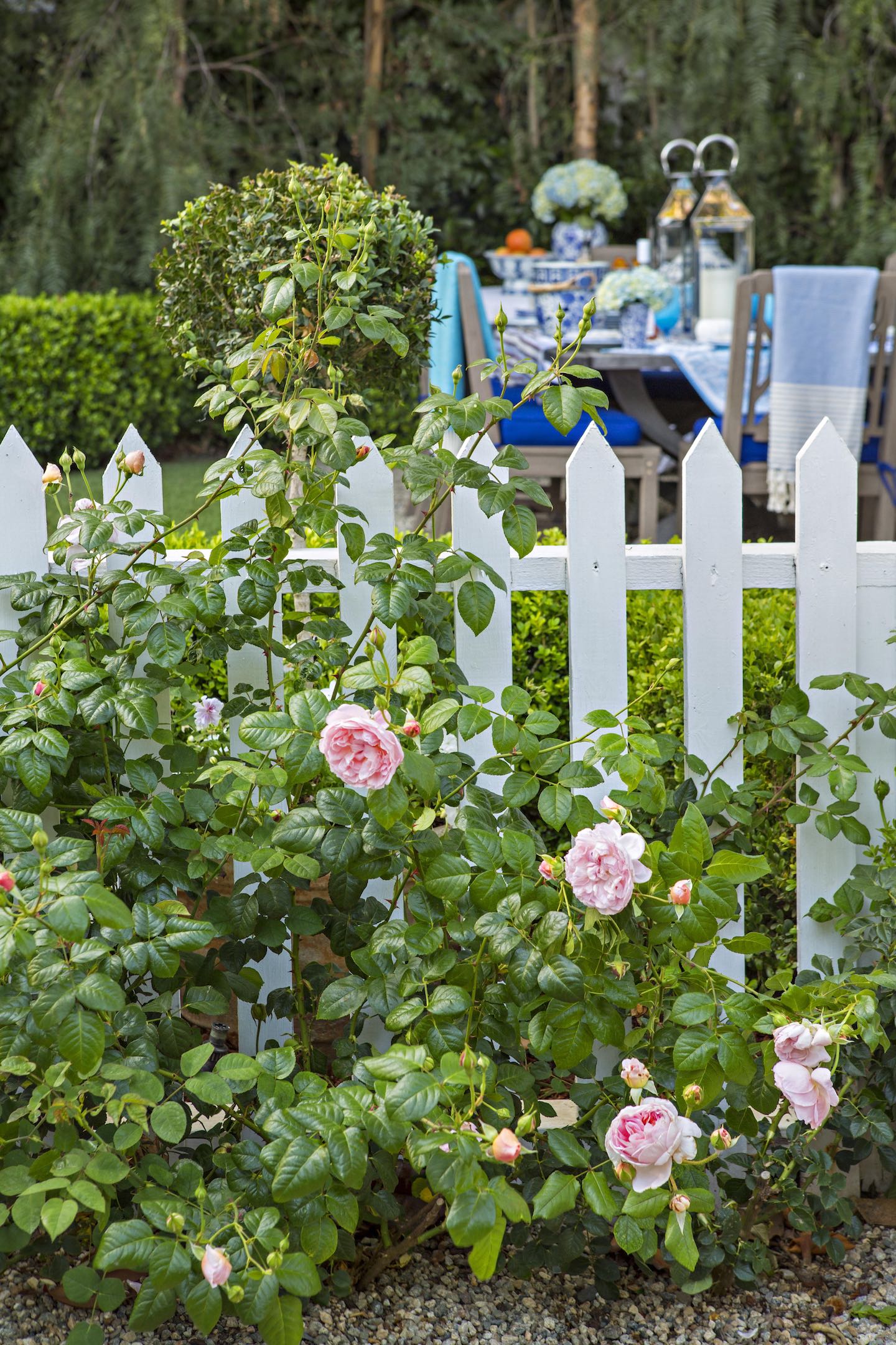 Charming Aged Wooden Picket Fence