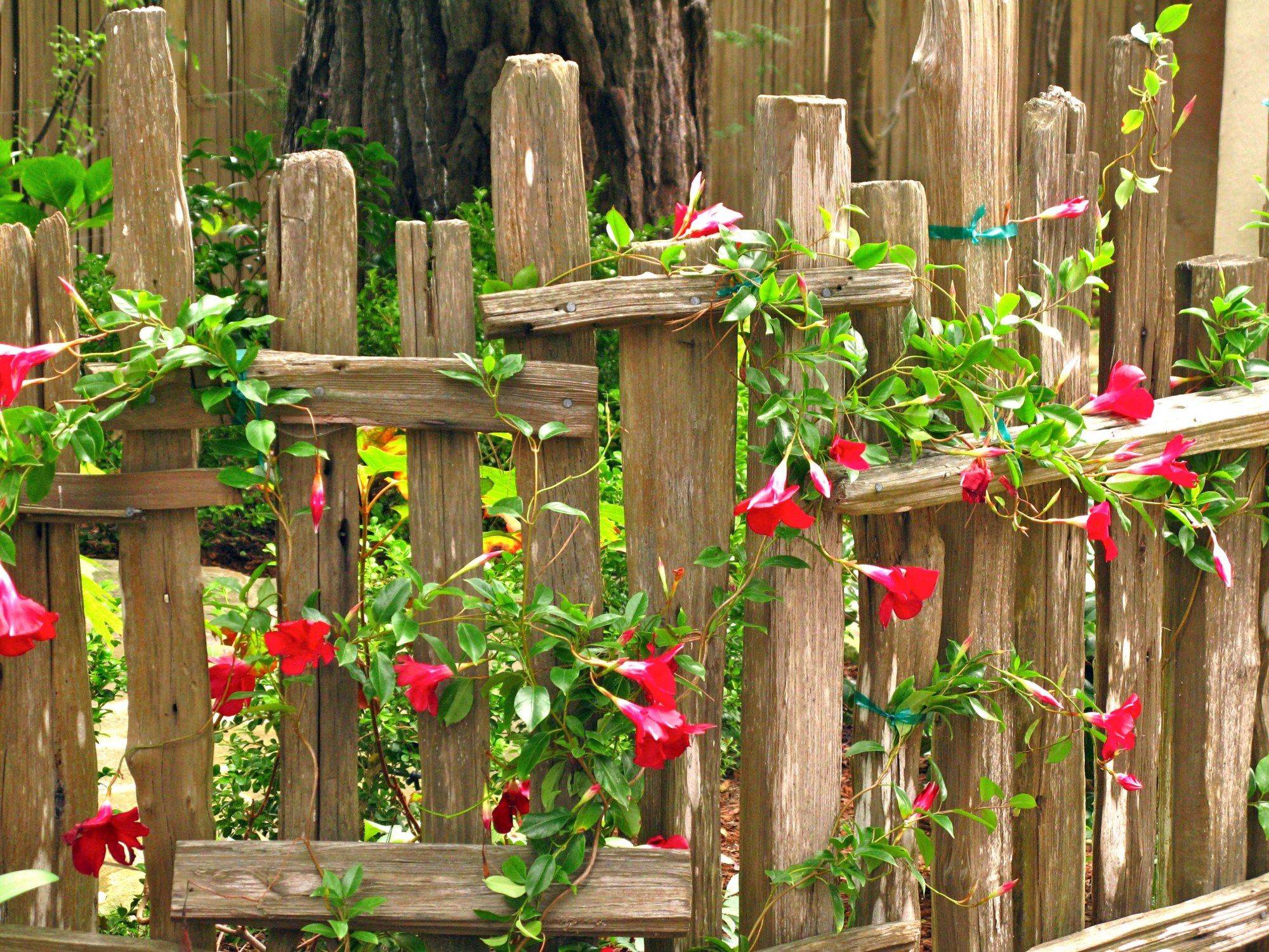Beautiful Garden Fence Ideas