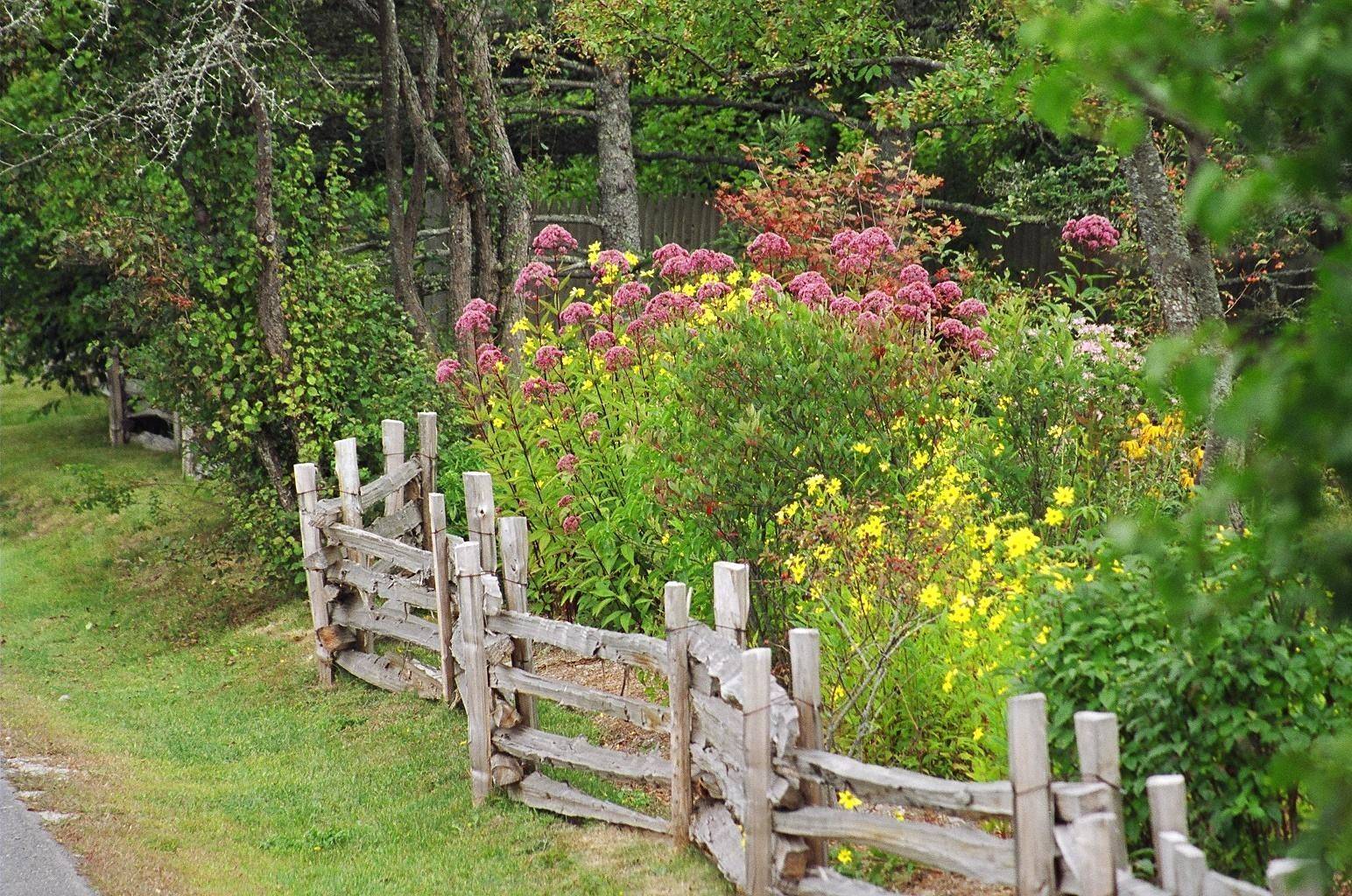 Small Garden Fence Cottage Garden Design