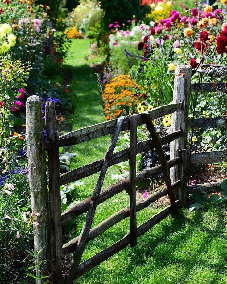 White Fence Ideas