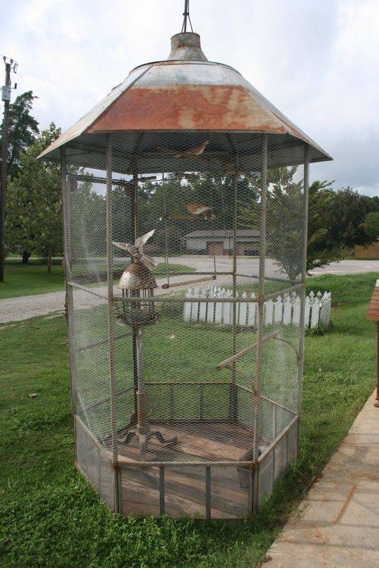 Favorite Birdcages Aviaries Ideas