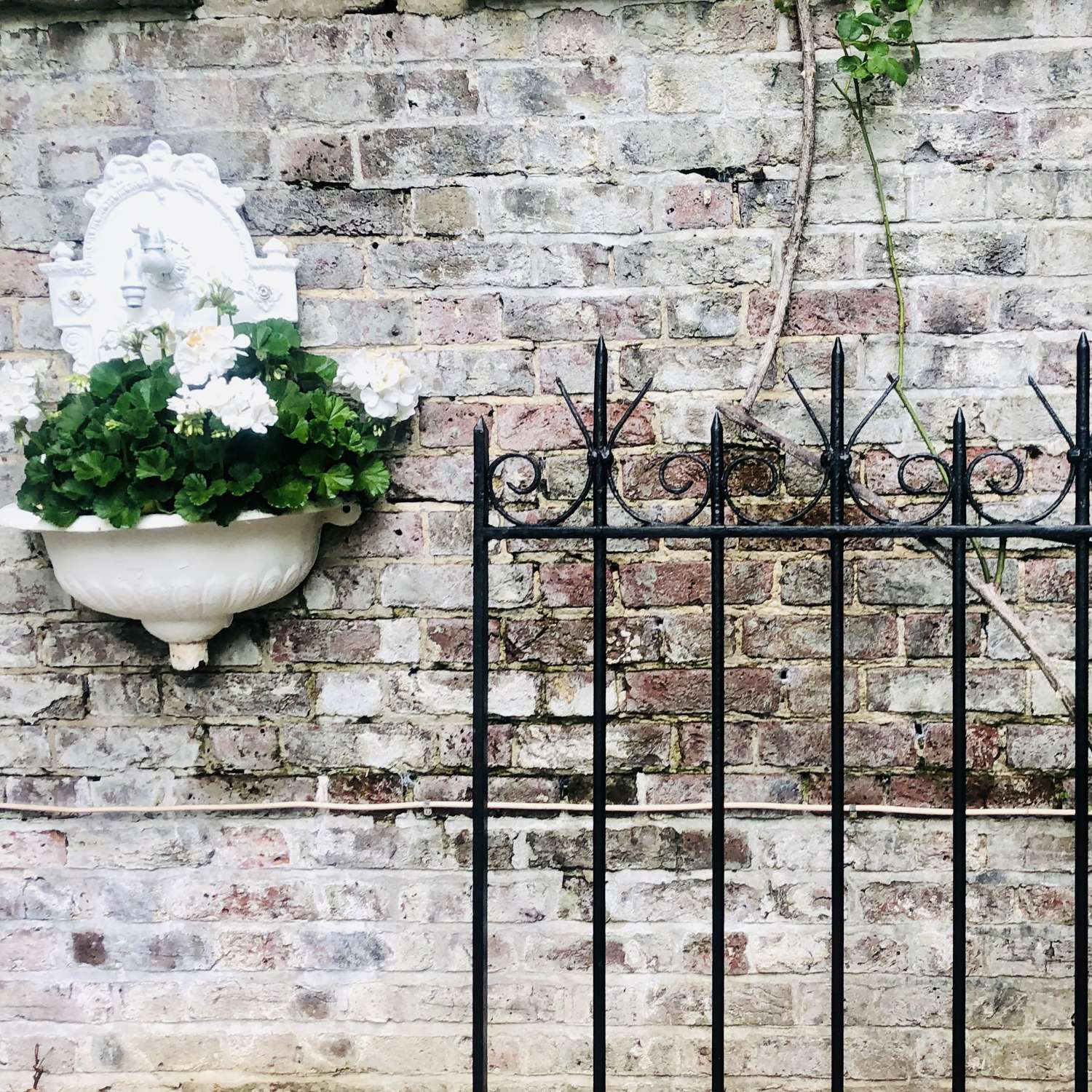 The French Tangerine Garden Images