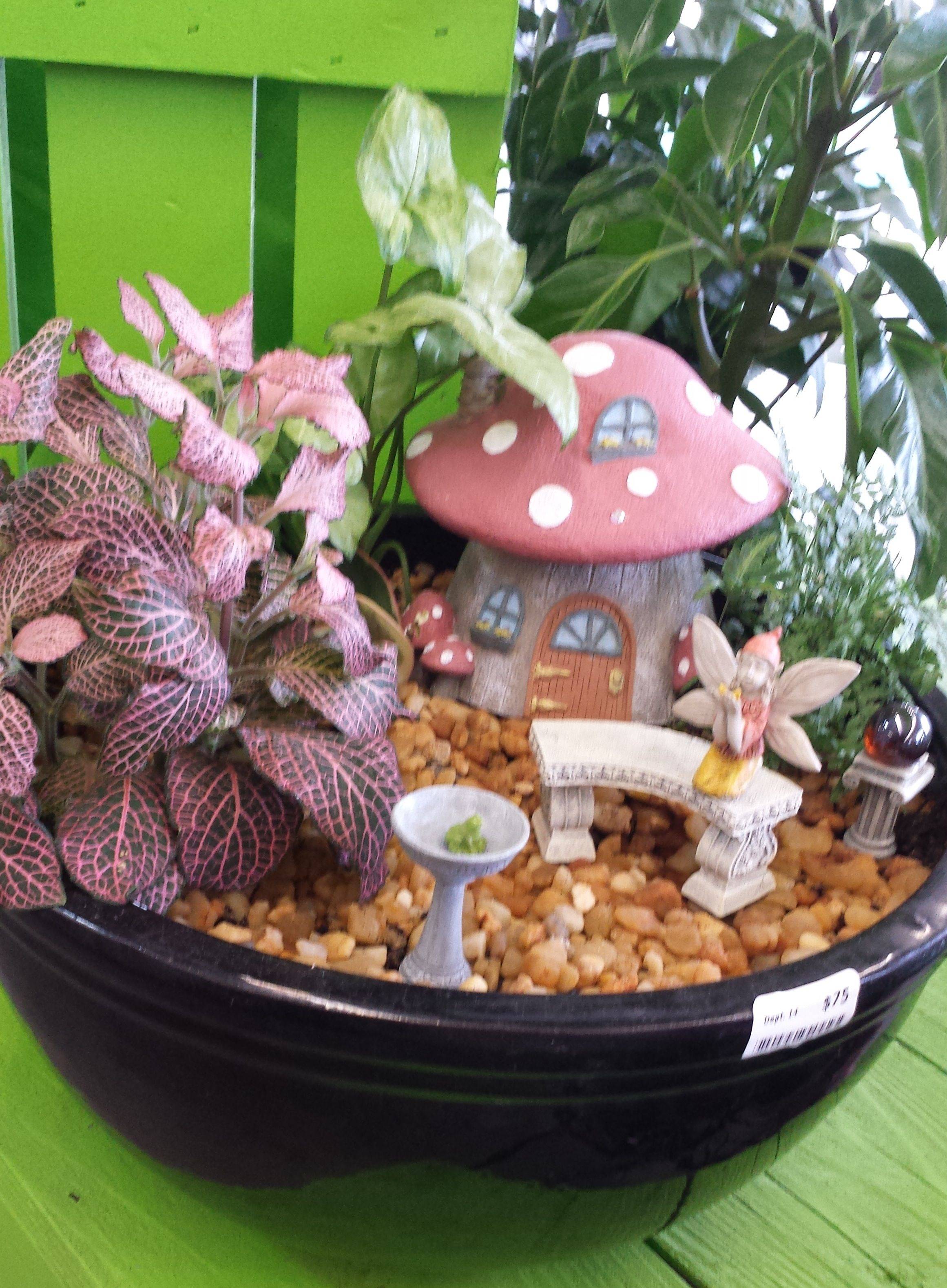 25 Fairy Dish Garden Ideas You Should Check SharonSable